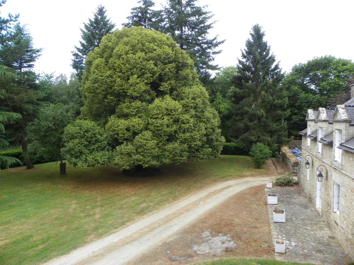 Manoir De Saint-Fiacre Bed and Breakfast Malansac Exteriör bild